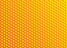 Beehive on golden screen. Abstract hexagonal pattern background. Hexagon design. Vector geometric