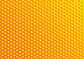 Beehive on golden screen. Abstract hexagonal pattern background. Hexagon design. Vector geometric