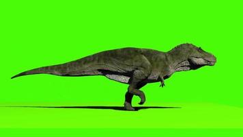 Dinosaur Running Animated Video. Jurassic animals video