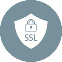 SSL Glyph Circle Icon vector