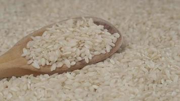 White rice grains seed video