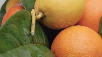 agrumes citron et orange se bouchent. groupe sain et coloré d'aliments de fruits mélangés en rotation. video