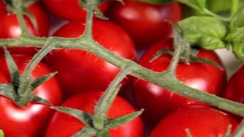 tomates crudos y albahaca. alimentos orgánicos veganos vegetarianos saludables de cerca. tiro deslizante. video