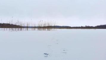 hermoso panorama del lago congelado con pasos de pescadores en el lago helado con hielo nuevo y frágil. peligros en el hielo y pesca en hielo.pov pescador video