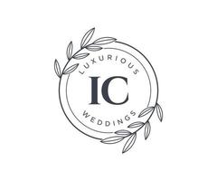 IC Initials letter Wedding monogram logos template, hand drawn modern minimalistic and floral templates for Invitation cards, Save the Date, elegant identity. vector