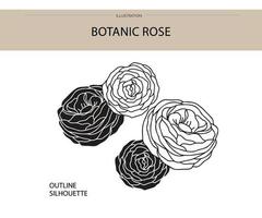 Botanic rose silhouette vector