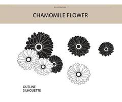 Chamomile flower silhouette vector