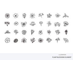 Flower Blossom outline vector hand drawn doodle