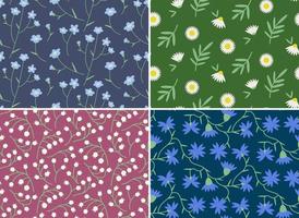 Collection of seamless patterns with wildflowers. vector