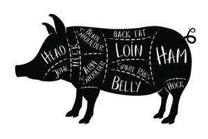 Butcher's Guide - Pork vector