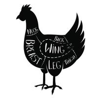 guía del carnicero - pollo vector