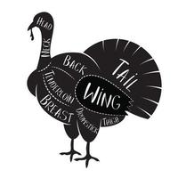 Butcher's Guide - Turkey vector