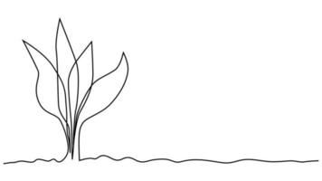 Single continuous line art growing sprout. Plant leaves seed grow soil seedling eco natural farm concept design vector