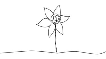 One single line drawing of beauty fresh narcissus for garden logo. Printable decorative daffodil flower vector