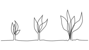 fase de la vida vegetal dibujo continuo de una línea ilustración minimalista de semillas y hojas vector