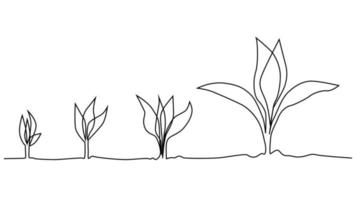 fase de la vida vegetal dibujo continuo de una línea ilustración minimalista de semillas y hojas vector