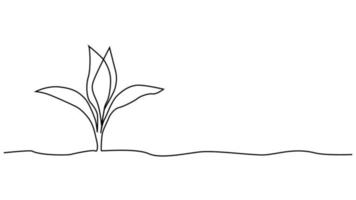 Single continuous line art growing sprout. Plant leaves seed grow soil seedling eco natural farm concept design vector