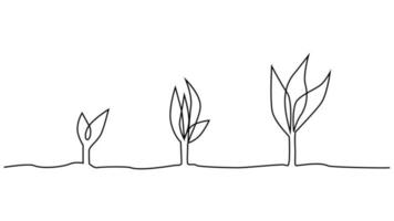 fase de la vida vegetal dibujo continuo de una línea ilustración minimalista de semillas y hojas vector