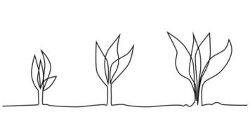 fase de la vida vegetal dibujo continuo de una línea ilustración minimalista de semillas y hojas vector