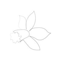 continuous line drawing of beautiful flowers vector