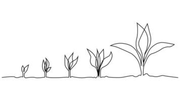 fase de la vida vegetal dibujo continuo de una línea ilustración minimalista de semillas y hojas vector