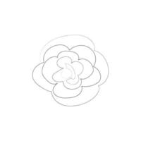 continuous line drawing of beautiful flowers vector