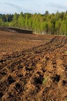 Summer Landscapes in the Latvian Countryside photo