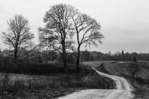 Graveled Country Road photo