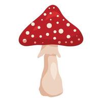 Fly agaric mushroom isolated on white background vector