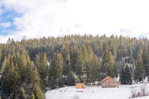 Wooden house in a beautiful winter green coniferous forest on the slopes of the mountains photo