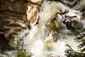 río de montaña en un hermoso bosque de coníferas verde invierno en las laderas de las montañas foto