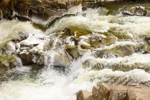 Mountain river in a beautiful winter green coniferous forest on the slopes of the mountains photo