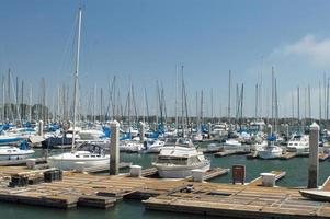 Marian Dock on a clear Bright Day photo