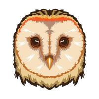 Cute Barn Owl face vector illustration in decorative style, perfect for t shirt design and mascot logo