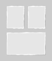 Set of torn white note. Scraps of torn paper of various shapes isolated on gray background. Vector illustration.