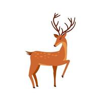 Deer icon . Cartoon animal design. Vector illustration isolated on white background.