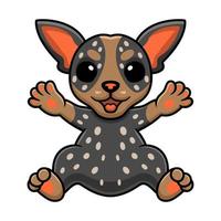 Cute australian cattle dog cartoon vector