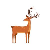 Deer icon . Cartoon animal design. Vector illustration isolated on white background.