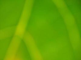 Green Color Gradient - Background photo