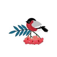 Bullfinch cartoon winter bird sitting on branch of viburnum tree with red berries and green leaf. Vector Eurasian bullfinch with gray and red plumage, wild bird mascot design