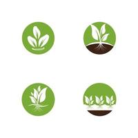 Hydroponic Logo Vector Template Illustration