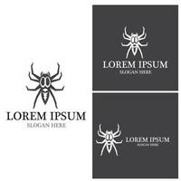 Spider icon and symbol vector template