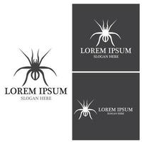 Spider icon and symbol vector template