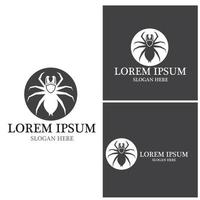 Spider icon and symbol vector template