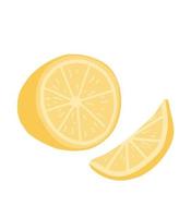 Lemon illustration. Half and slice of lemon for print, design of your products, packaging. Isolated on white background vector illustrationLemon illustration.