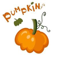 Bright appetizing Pumpkin with the word Pumpkin on a white background vector