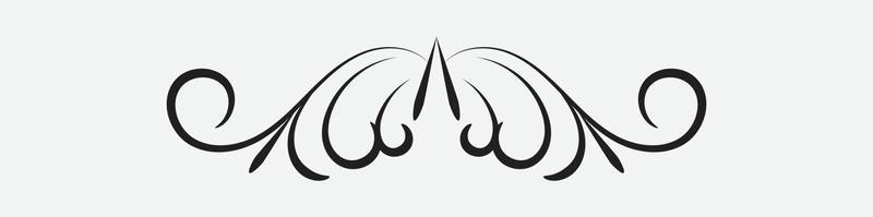 ornamental filigree flourish, thin divider. Classical vintage element, vector illustration