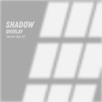 Window shadow overlays for photo effects, mockups and design products vector