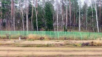 el punto de vista del pasajero del tren viaja a través del campo de lituania en el transporte público pasa por el bosque con una valla metálica especial de animales salvajes para evitar accidentes en el desierto video