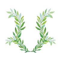 Watercolor Laurel Wreath Isolated on White Background. vector